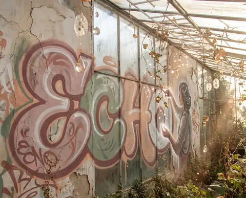 “ECHO” reimagined as a hushed graffiti street mural inside a sun-drenched greenh - AI生成图片 1