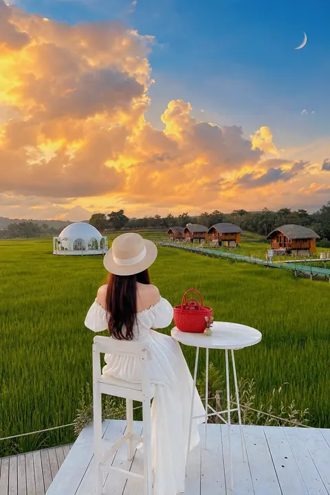 Vertical pastoral healing landscape portrait photography, back view of young wom - AI生成图片 3