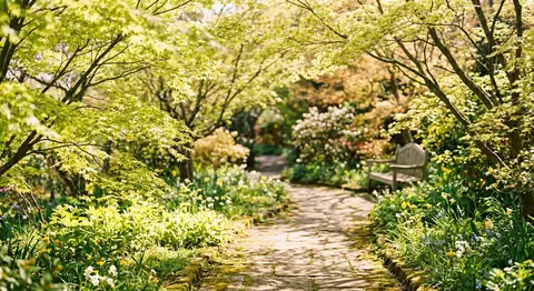 若葉がやわらかな風にきらめく午後、淡い黄緑と陽だまりの蜂蜜色に包まれた情景。春の息吹をまとった静かな庭園の小径に、透けるような新芽の葉影が揺れ、木漏れ日がやさし - AI生成图片 3