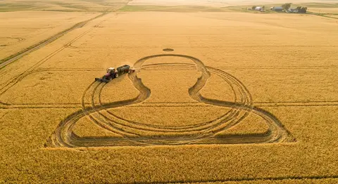 Aerial drone photograph of a golden-yellow wheat field in late-summer harvest li - AI生成图片 3