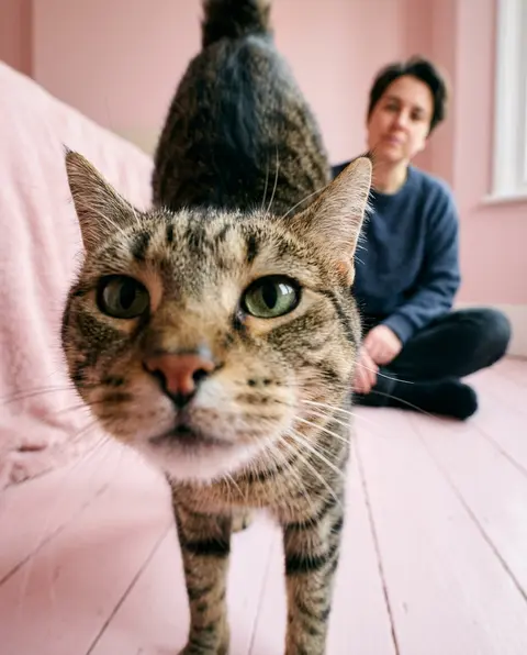 Create an image of me in the same frame as a cat. In a realistic photographic st - AI生成图片 2