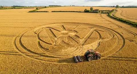 Aerial drone photograph of a golden-yellow wheat field in late-summer harvest li - AI生成图片 1